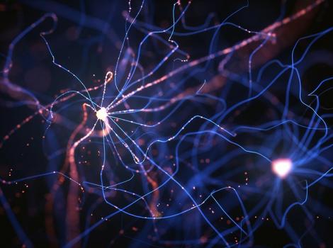 Neuron Network